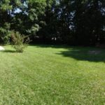 An Extensive Yard with Full of Vegetation and Big Trees