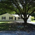 A Large Tree and Shadow in Front of the House