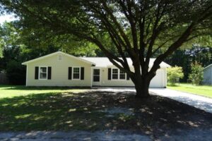 A Large Tree and Shadow in Front of the House