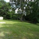 Dense Vegetation and Large Trees Around the Property