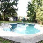 Full View of the Swimming Pool with Stairs and Dense Vegetation Around