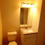 Advanced Lights Above the Mirror and Toilet Seat in the Washroom