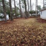 View of Long Trees from Ground and Upgraded Home