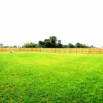 Dense Greenery in the Fenced Backyard of the Home