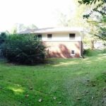 Trees, Grass, and Large Vegetation in the Backyard of the Home