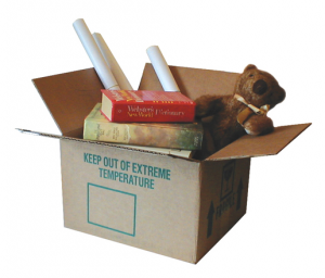 A Box Containing Teddy Bar, Rolls of Paper, and a Dictionary