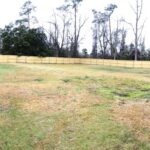 Closer View of the Front yard Fenced from All Sides