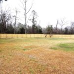 Huge Empty Land within the Fence and Trees Outside