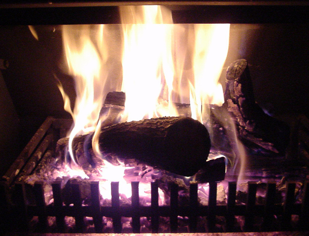 Woods Burning in a Firepit During Winter Season