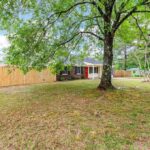 Fenced Premises of A House with A Big Tree and Grasses